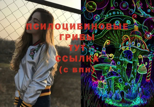 прущая мука Мегион