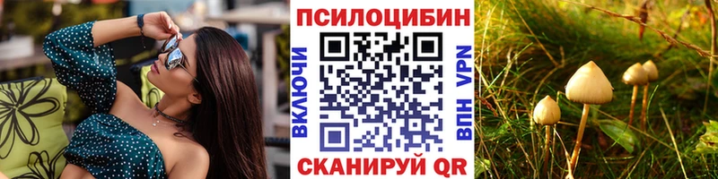 Галлюциногенные грибы GOLDEN TEACHER  Петрозаводск 