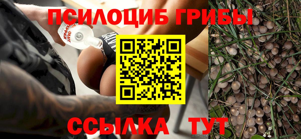 Петрозаводск  Галлюциногенные грибы Magic Shrooms  Галлюциногенные грибы MAGIC MUSHROOMS  Вход с VPN 